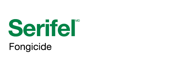 Serifel logo